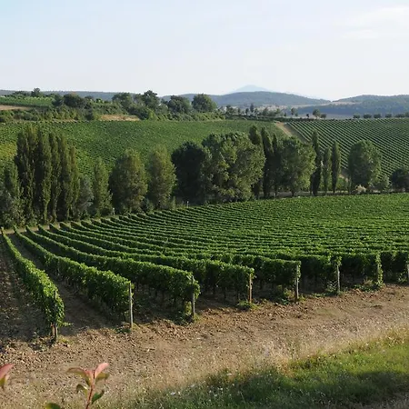 黎莱斯奥塔丽亚酒店 * Montepulciano Stazione